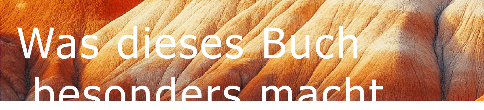 Was dieses Buch  besonders macht
